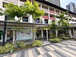 Toa Payoh Palm Spring (D12), Shop House #582262111